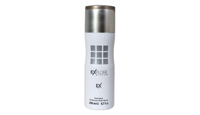 Explore silver spray