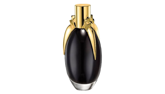 Lady Gaga Fame