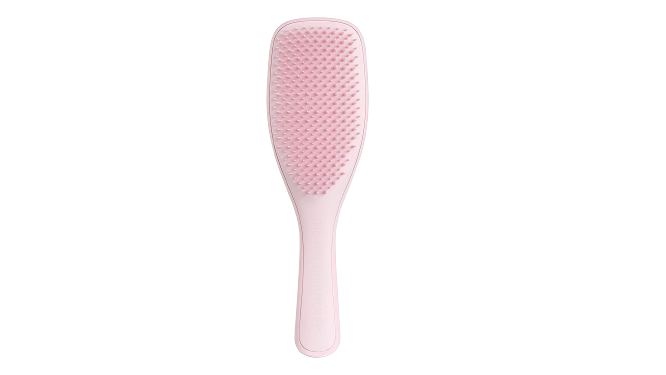 Wet Detangling Hair Brush