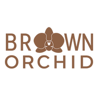Brown Orchid