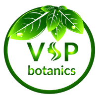 Vsp