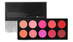Bh 10 colours blush palette