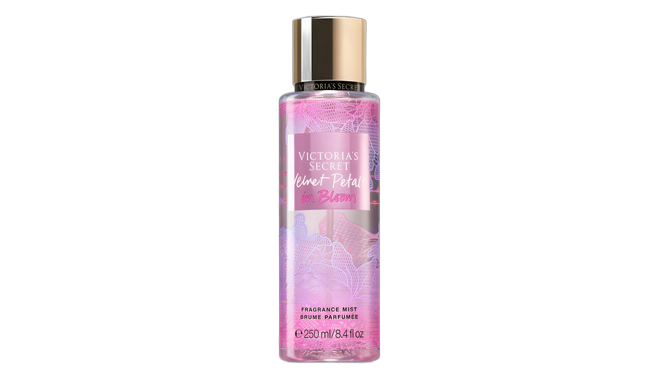 Victoria's secret velvet petals in bloom