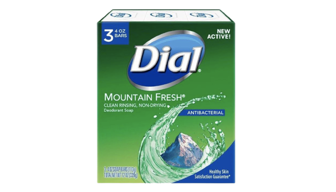 Dial Mountain Fresh Anti Bacterial Body Soap