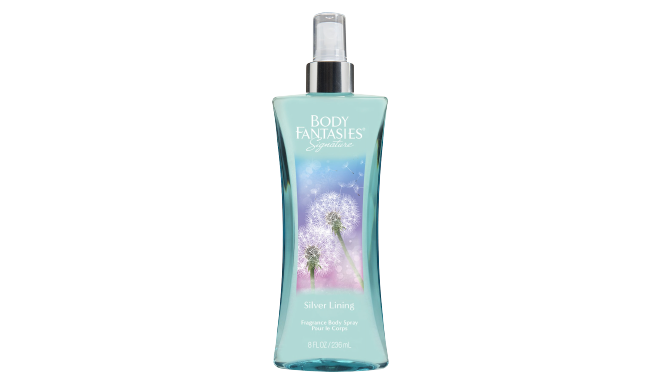 Body Fantasies Signature Silver Linig