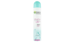 Garnier Ultra Dry Spray