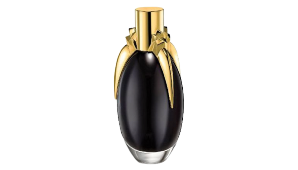 Lady Gaga Fame