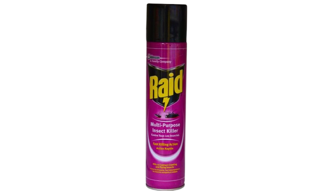 Raid Multi Purpose Insect Killer