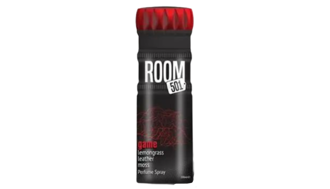 Room 501 Game