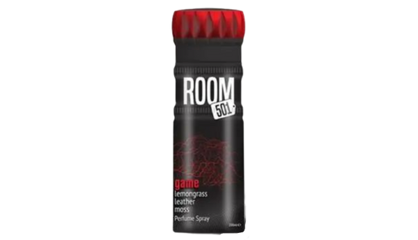 Room 501 Game